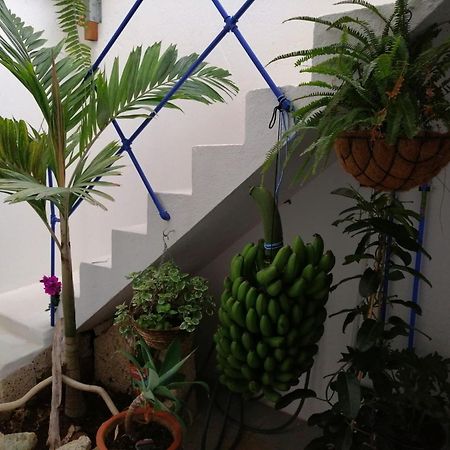 La Haciendita De La Casita Azul Puerto de la Cruz  Zewnętrze zdjęcie